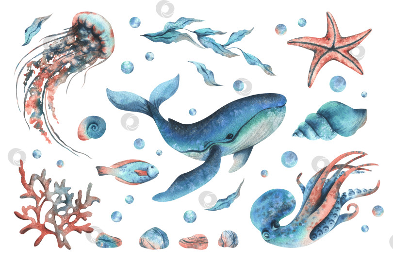 Скачать Осьминог, кит, медуза, черепаха, ракушки, морские звезды, рыбы, пузыри, другие морские животные. Акварельная иллюстрация, выполненная вручную в бирюзовых, синих и коралловых тонах. Набор элементов, выделенных на фоне. фотосток Ozero