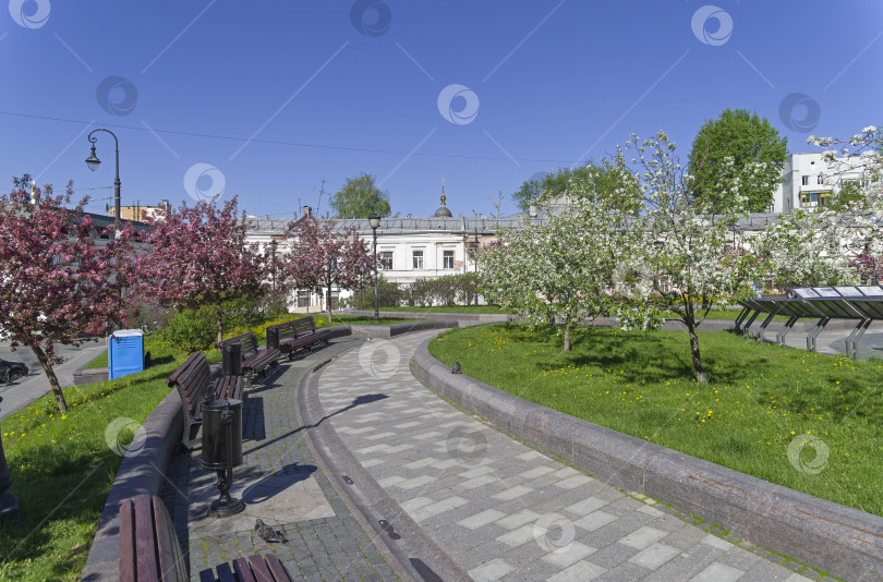 Скачать Цветущие яблони на Хитровской площади. Москва. фотосток Ozero