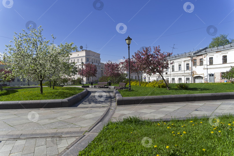 Скачать Цветущие яблони на Хитровской площади. Москва. фотосток Ozero