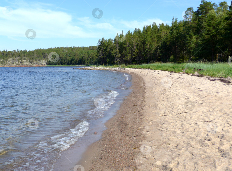 Скачать Пляж на острове в Белом море фотосток Ozero