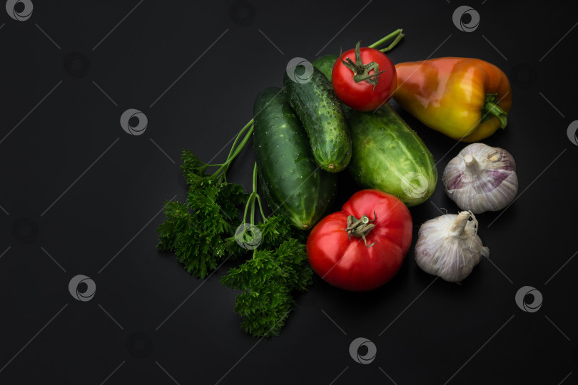 Скачать Огурцы, помидоры, сладкий перец, чеснок и зелень на черном фоне. Набор свежих овощей на черном фоне. фотосток Ozero